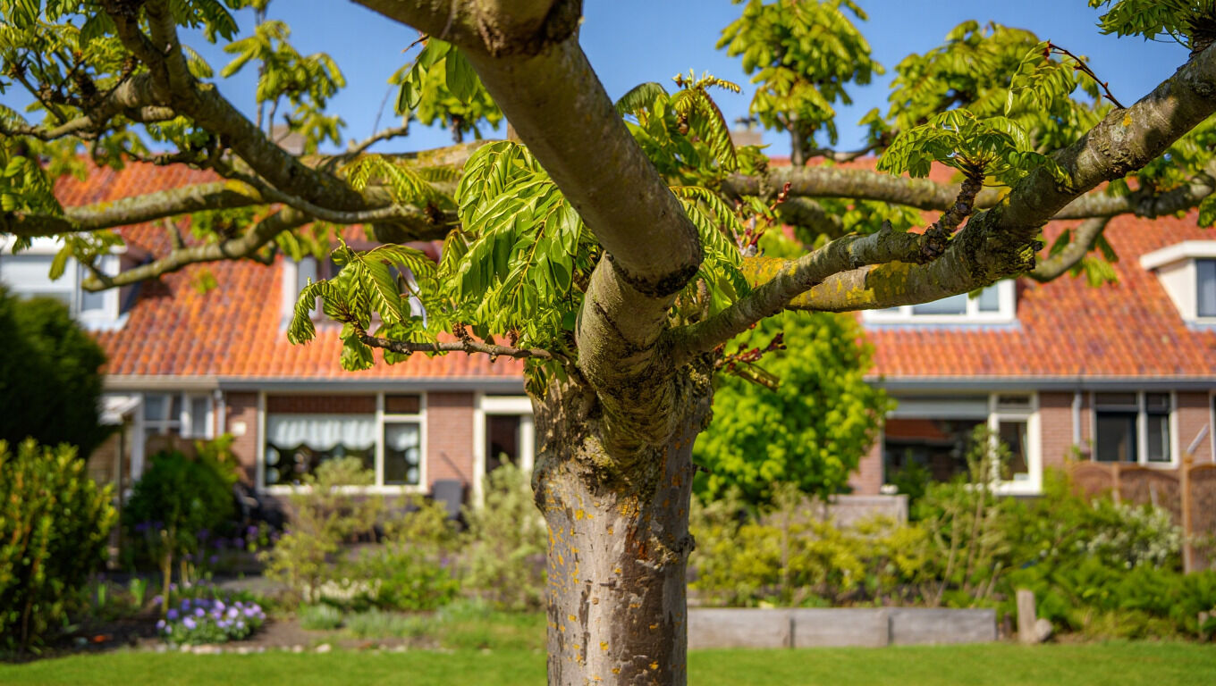 [paste advice page name here]